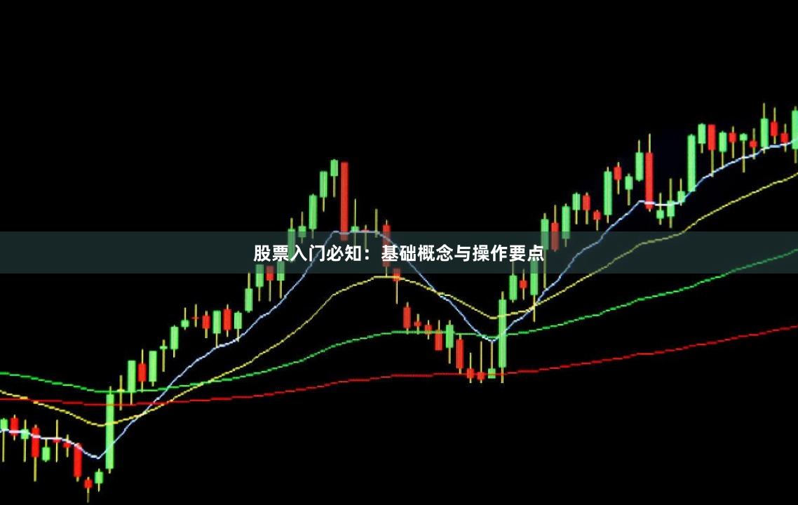 股票入门必知：基础概念与操作要点